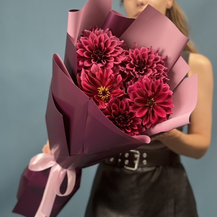 5 темно-фиолетовых георгин