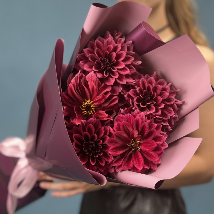 5 темно-фиолетовых георгин