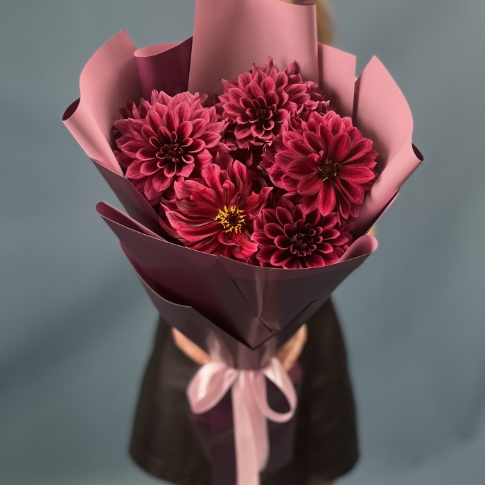 5 темно-фиолетовых георгин