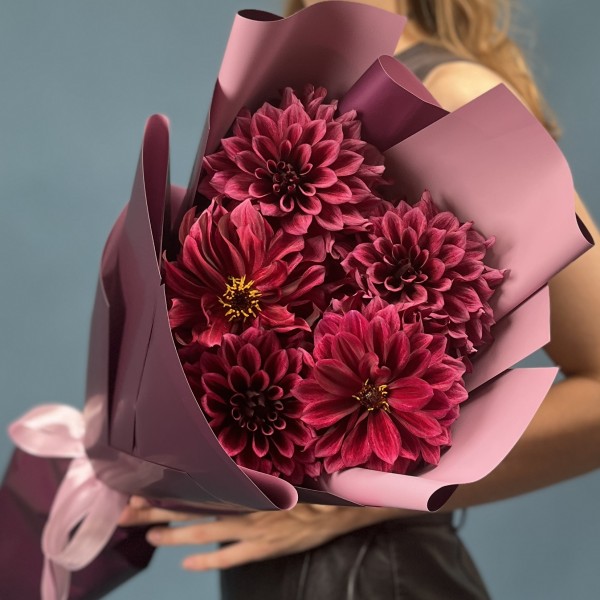 5 темно-фиолетовых георгин