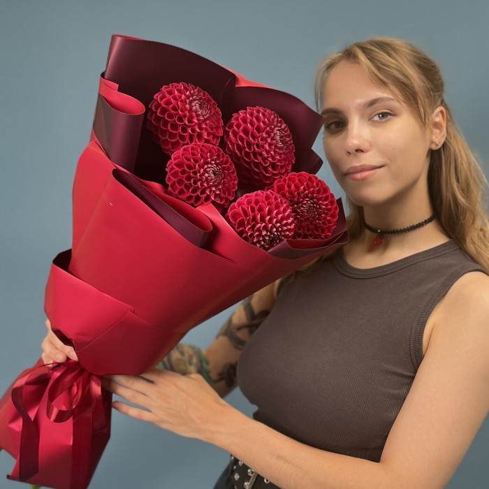 5 темно-красных Георгин помпон