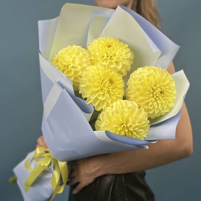 5 желтых Георгин помпон