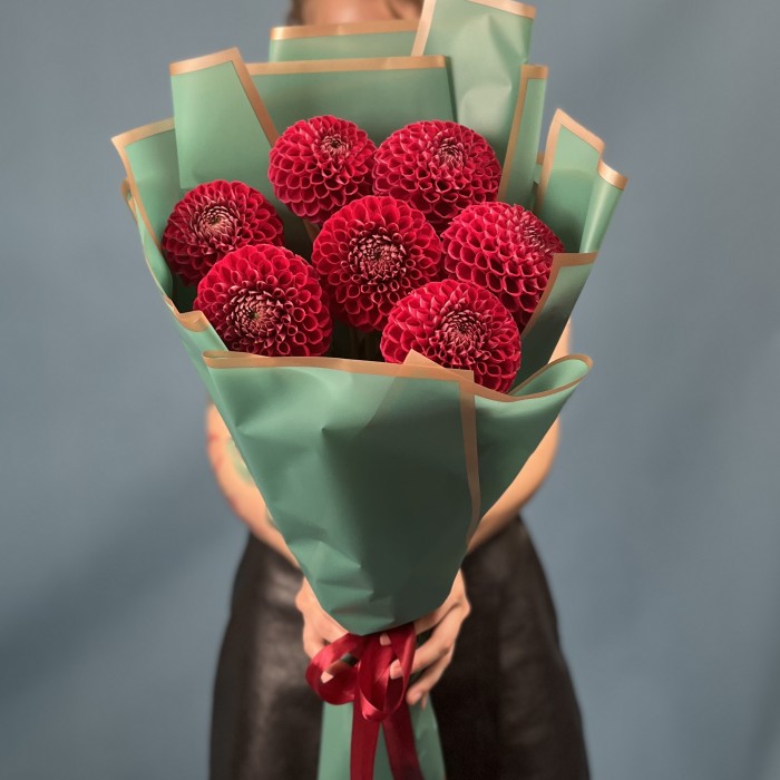 7 темно-красных Георгин помпон