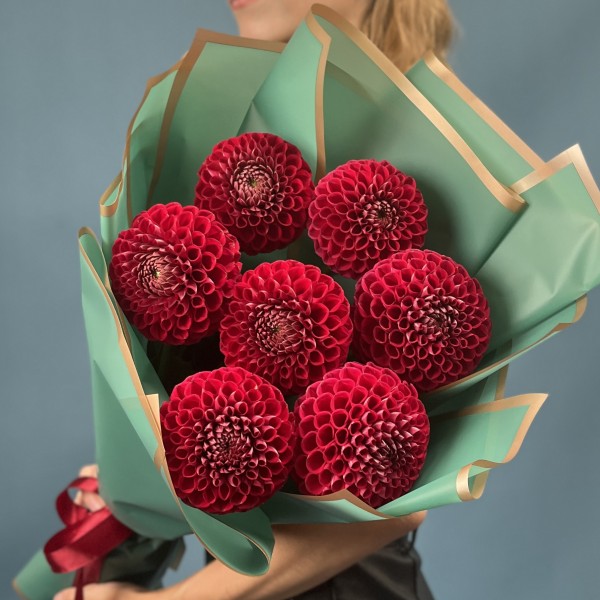 7 темно-красных Георгин помпон