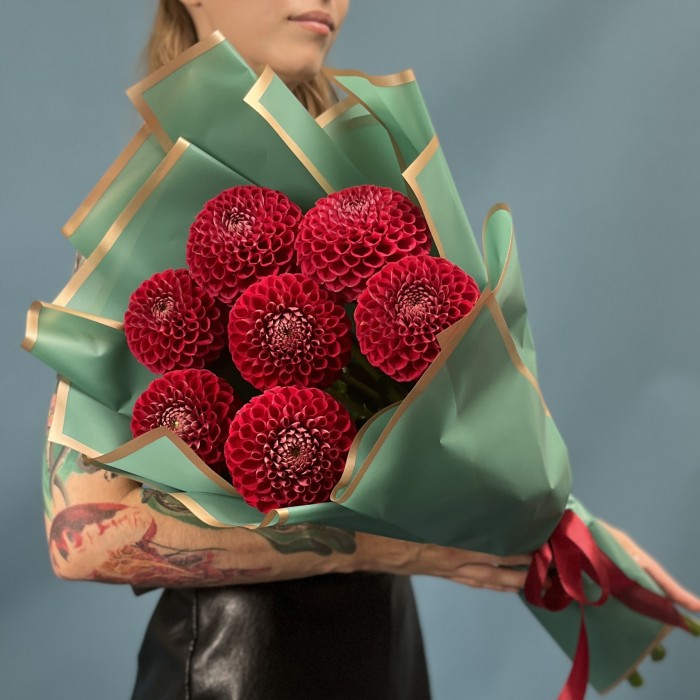 7 темно-красных Георгин помпон