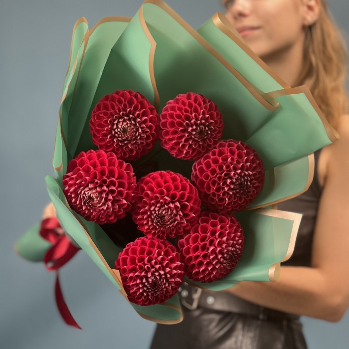 7 темно-красных Георгин помпон