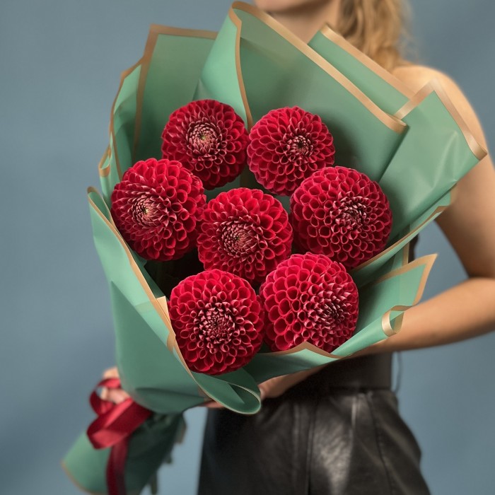 7 темно-красных Георгин помпон