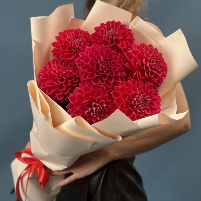 7 пышных красных георгин