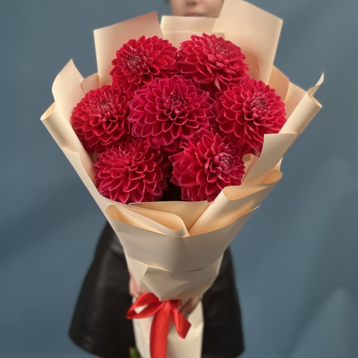 7 пышных красных георгин