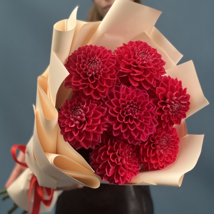 7 пышных красных георгин