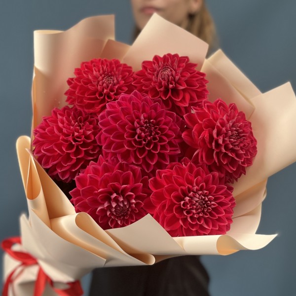 7 пышных красных георгин