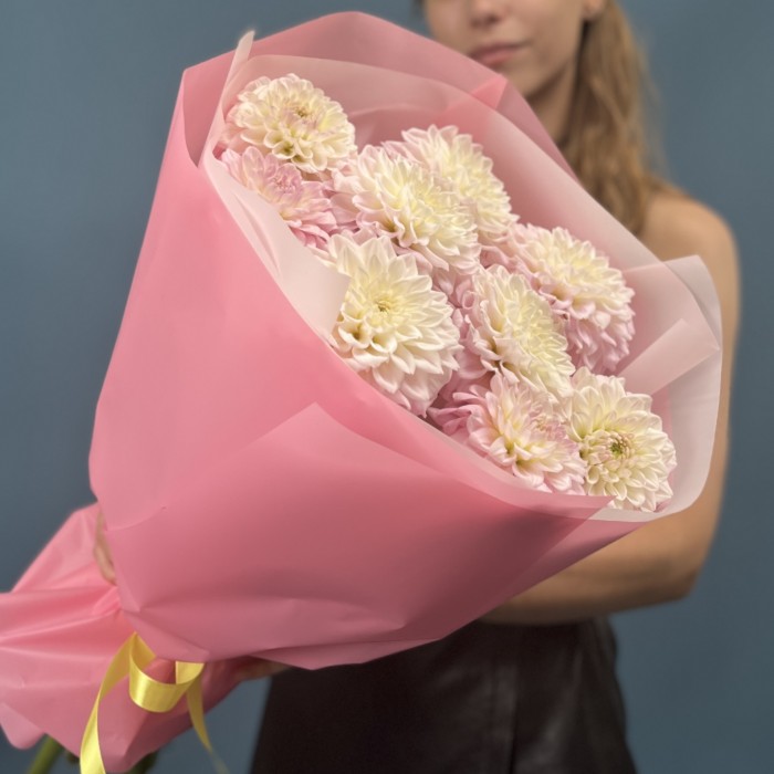9 бело-розовых георгин помпон