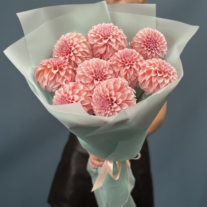 9 лососевых Георгин