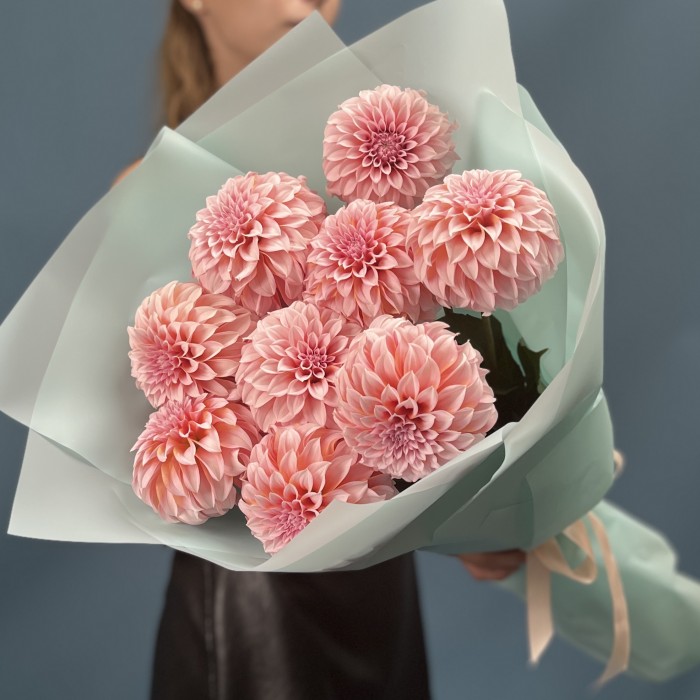 9 лососевых Георгин