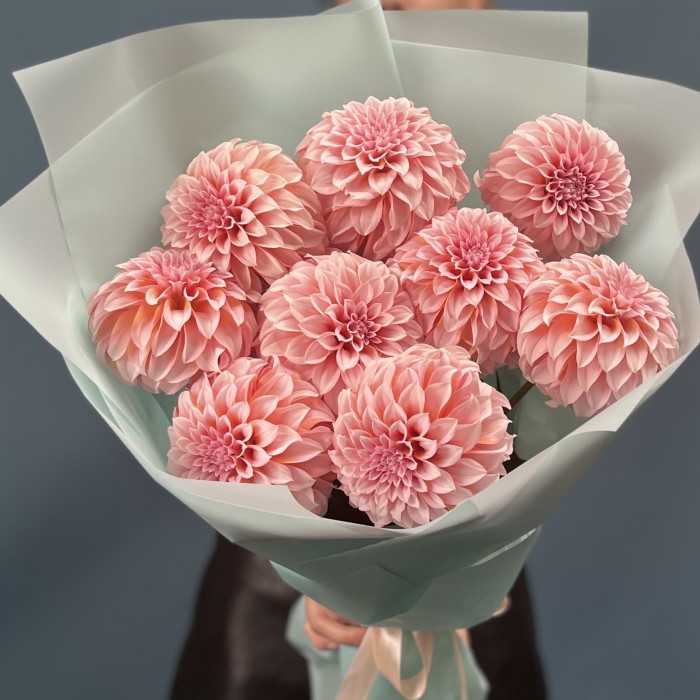 9 лососевых Георгин