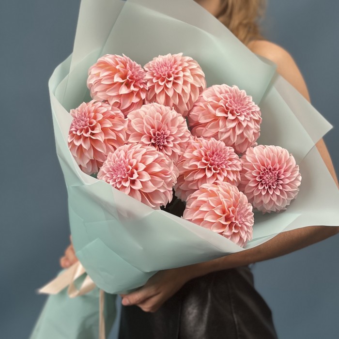 9 лососевых Георгин