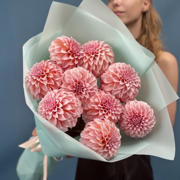 9 лососевых Георгин