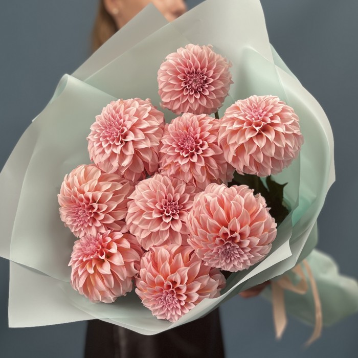 9 лососевых Георгин