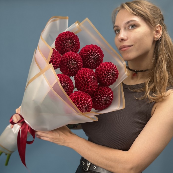 9 темно-красных Георгин помпон