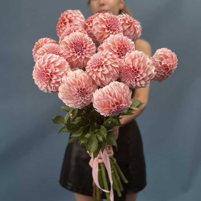 Георгин лососевый