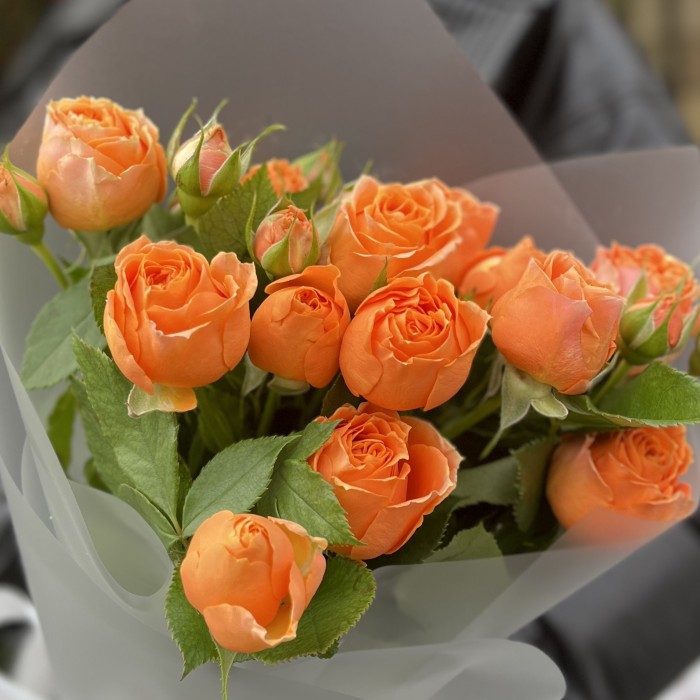 3 оранжевые кустовые розы Корал Бабл 40 см