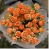 9 оранжевых кустовых пионовидных роз Коралл Бабл