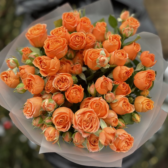 9 оранжевых кустовых пионовидных роз Коралл Бабл