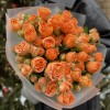 9 оранжевых кустовых пионовидных роз Коралл Бабл