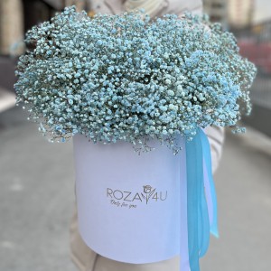 21 голубая гипсофила в коробке 21 голубая гипсофила в коробке
