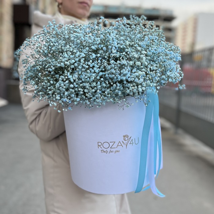21 голубая гипсофила в коробке