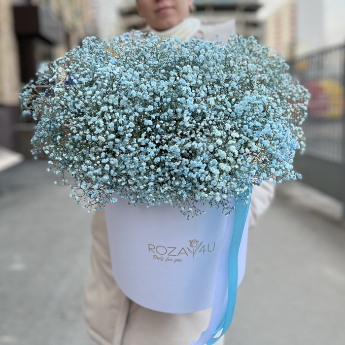 21 голубая гипсофила в коробке