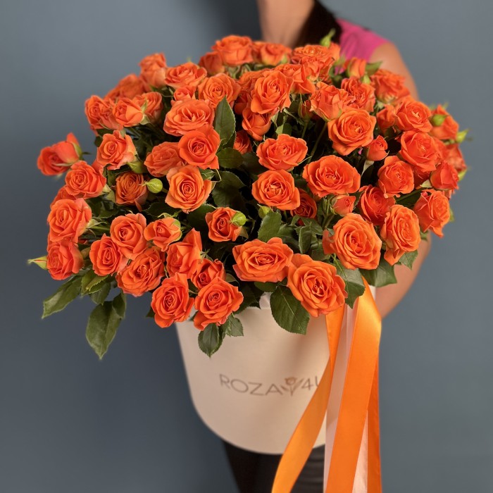 21 оранжевая кустовая роза Чарминг Бейб в коробке