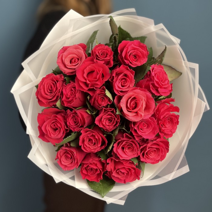 21 малиновая роза Такаци 50 см