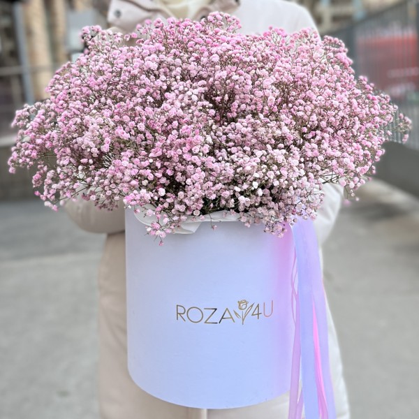 21 розовая гипсофила в коробке