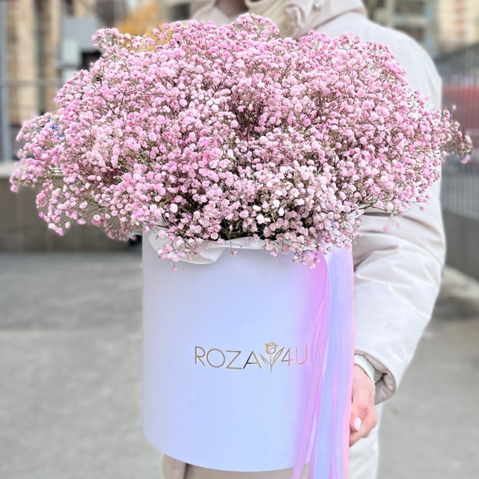 21 розовая гипсофила в коробке