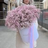 21 розовая гипсофила в коробке