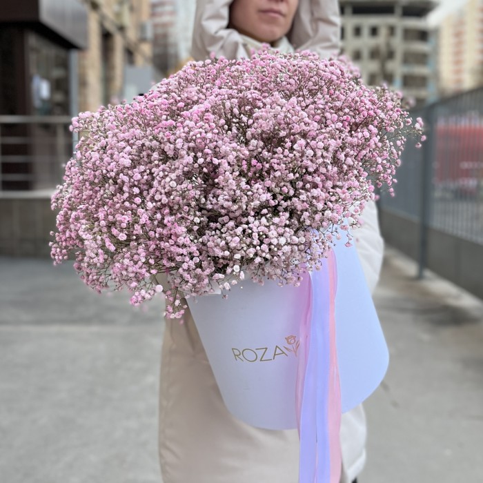 21 розовая гипсофила в коробке