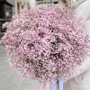 21 розовая гипсофила в коробке