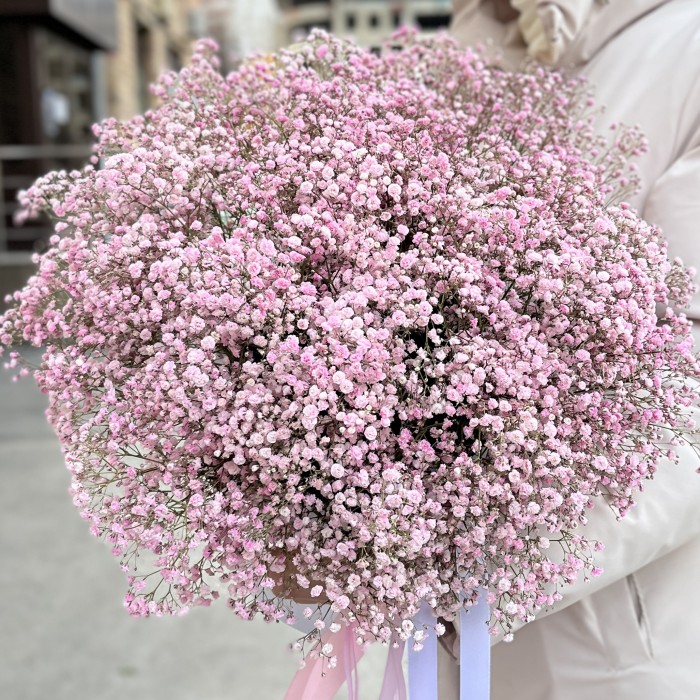 21 розовая гипсофила в коробке