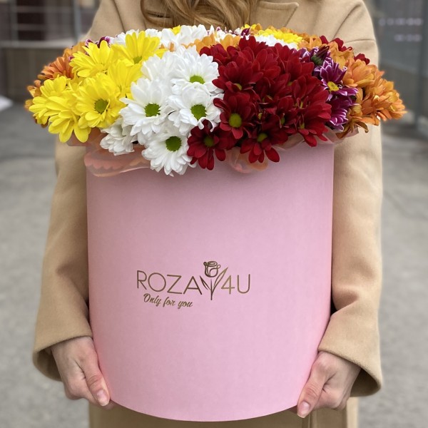 21 яркая кустовая хризантема в коробке