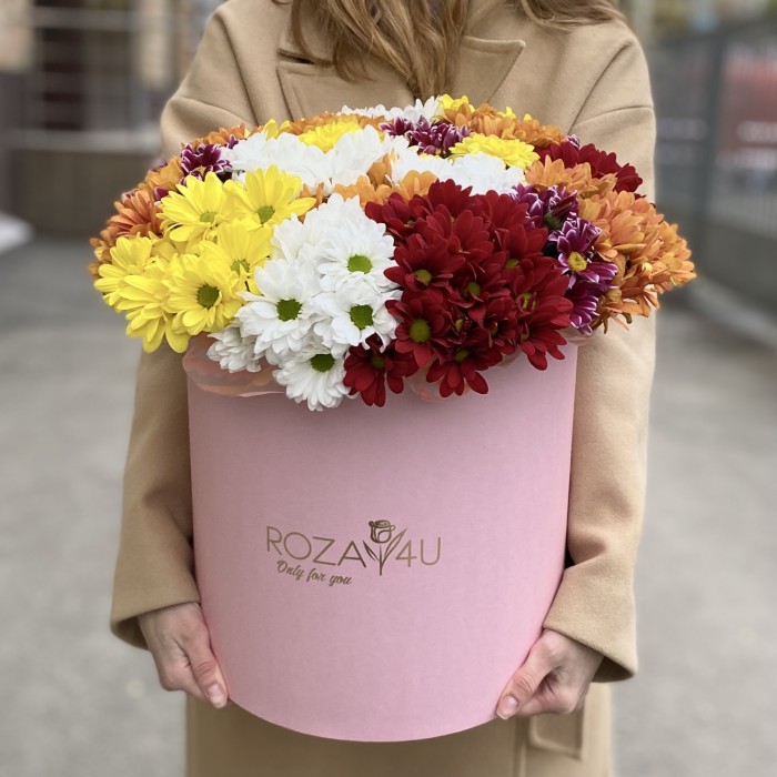 21 яркая кустовая хризантема в коробке