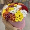 21 яркая кустовая хризантема в коробке