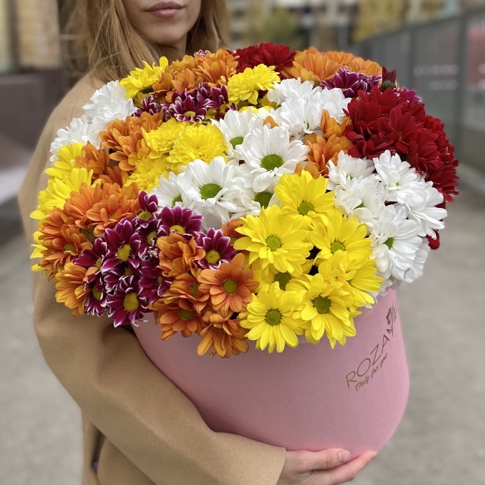21 яркая кустовая хризантема в коробке