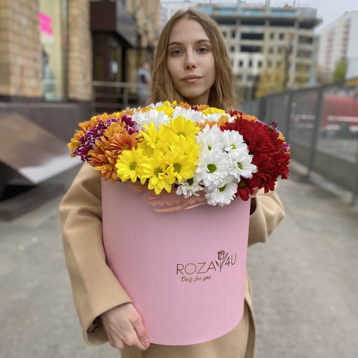 21 яркая кустовая хризантема в коробке