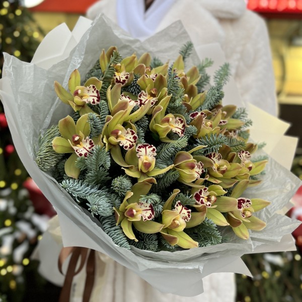 21 зеленая орхидея с нобилисом