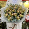 21 зеленая орхидея с нобилисом