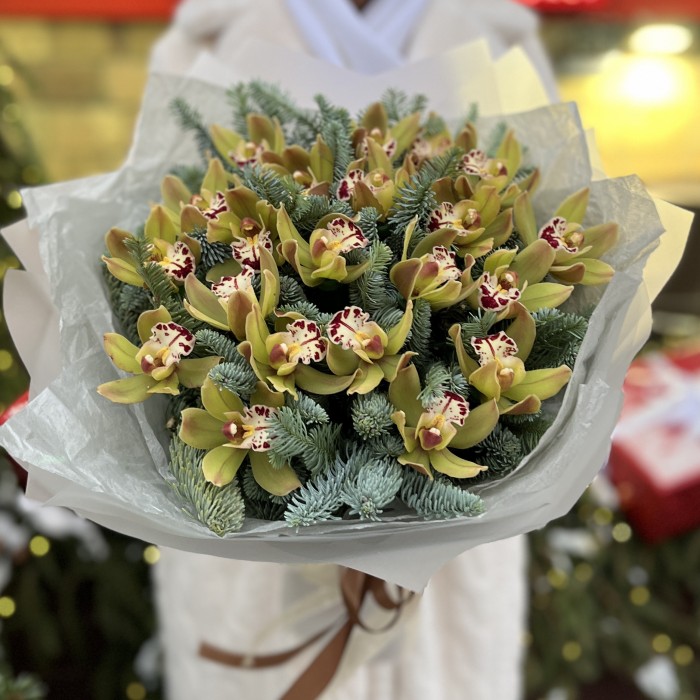 21 зеленая орхидея с нобилисом