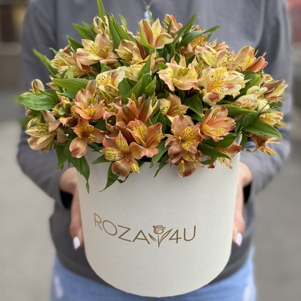 21 оранжевая альстромерия в коробке