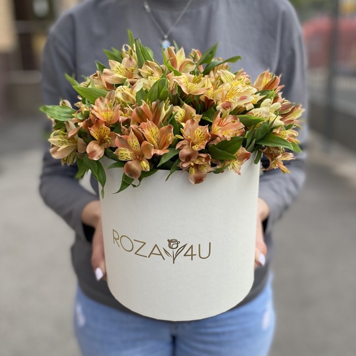 21 оранжевая альстромерия в коробке