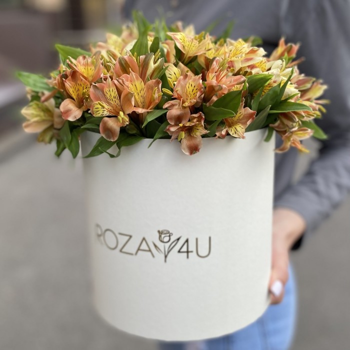 21 оранжевая альстромерия в коробке